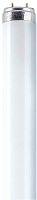 Osram Lumilux-Lampe L 38/830