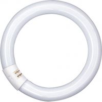 OSRAM LUMILUX T9 C 22 W/865 G10Q
