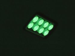 EUROLITE LED IP FL-8 grn 30