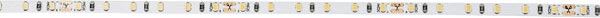 Artecta Havana Ribbon 6000K 120-24V - 5 m 2216 LED Ra90 575-640 lm/m