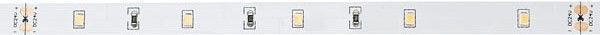 Artecta Havana Ribbon 2700K 30-24V - 5 m 2835 LEDs 600 645 lm/m