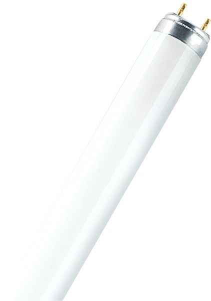 OSRAM LUMILUX® DE LUXE T8 18 W/965