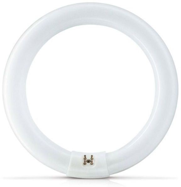 PHILIPS Actinic BL TL-E 22W/10 1CT/20 Insektenlampe 22W Actinic G10q Ring