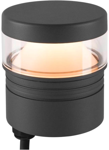 SLV M-POL S Polehead 360°, entblendet, Leuchtenkopf, anthrazit, 10W, 750lm, 2700K, CRI80, DALI