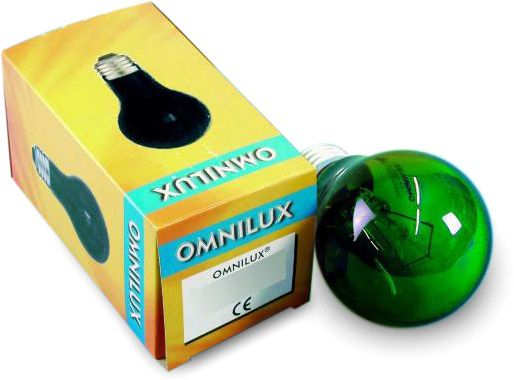 OMNILUX A19 230V/25W E27 grün