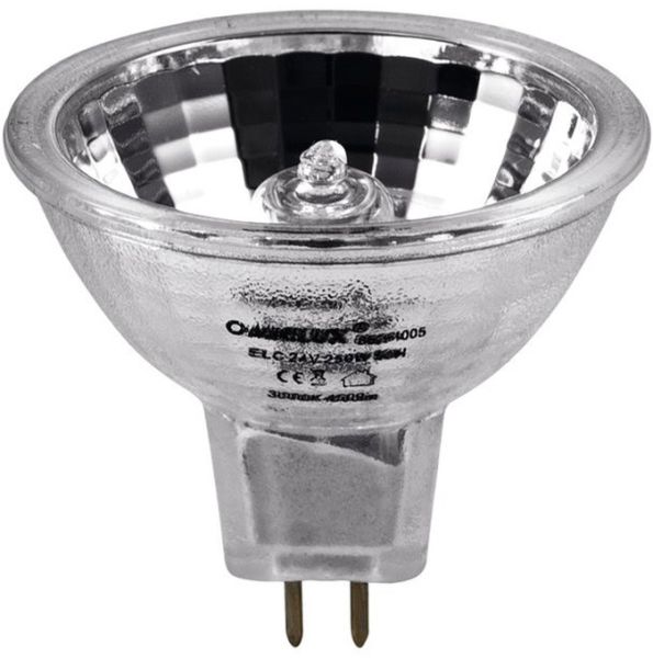 OMNILUX ELC 24V/250W GX-5,3 500h 50mm Reflektor