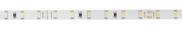 Artecta Havana Ribbon 6000K 60-24V - 5 m 5730 LED 1380-1700 lm/m